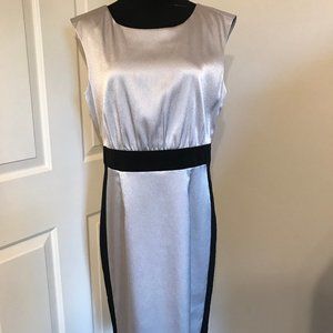 The Limited Silver Sheath Dress